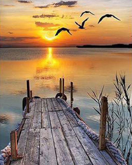 Malen nach Zahlen - Alter Steg Der Malennachzahlen shop