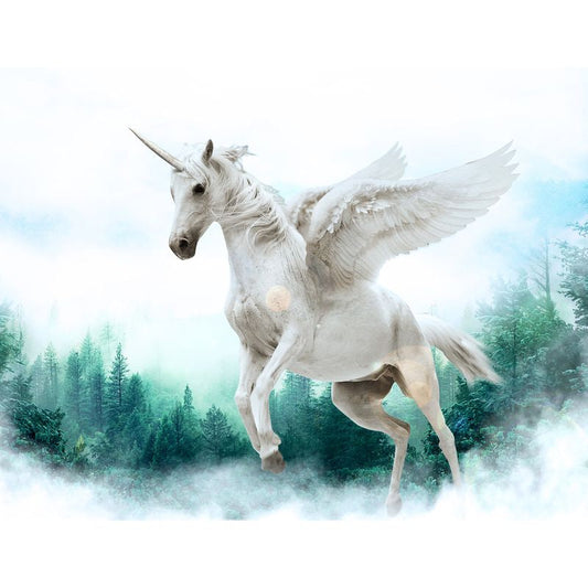 Malen nach Zahlen - Fliegendes Einhorn Der Malennachzahlen shop