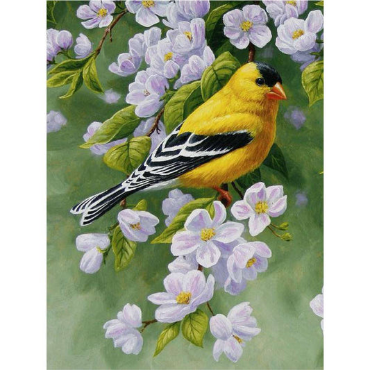 Malen nach Zahlen - Frühjahrsbote Der Malennachzahlen shop