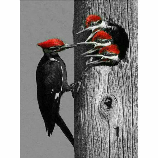 Malen nach Zahlen - Fütterung Spechte Der Malennachzahlen shop