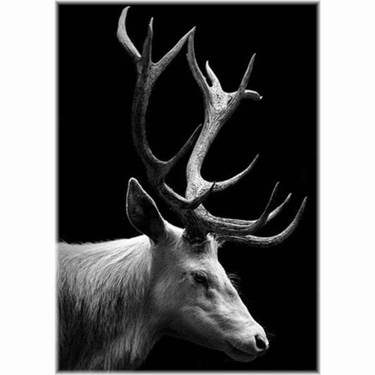 Malen nach Zahlen - Hirsch Der Malennachzahlen shop