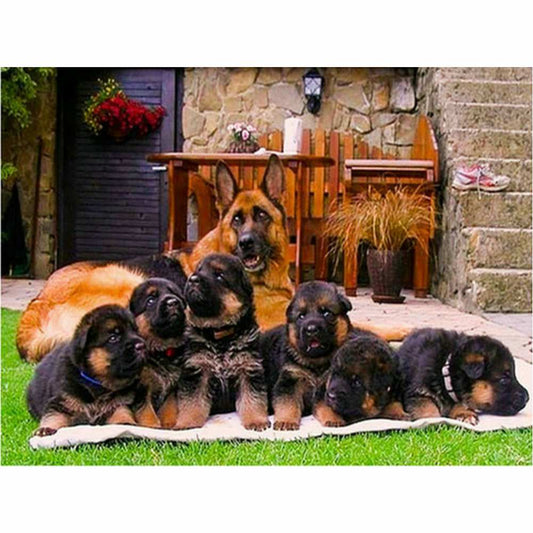 Malen nach Zahlen - Hundefamilie Der Malennachzahlen shop