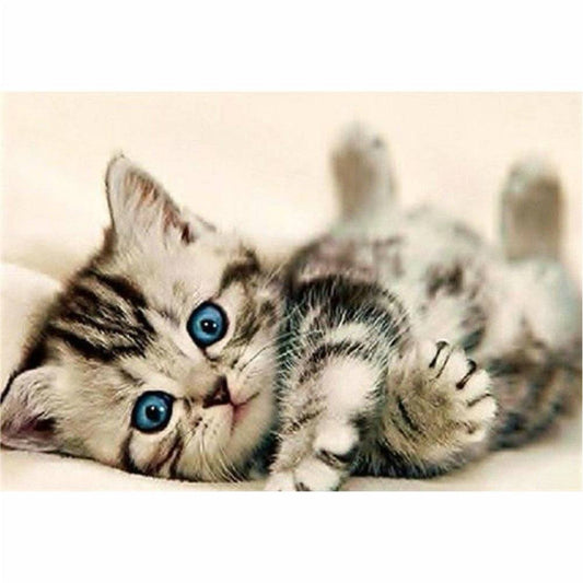 Malen nach Zahlen - Katzenbaby Der Malennachzahlen shop