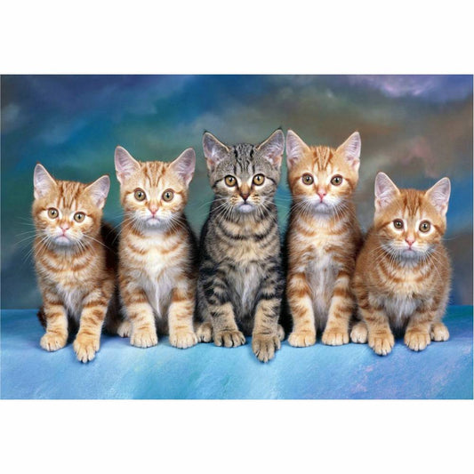 Malen nach Zahlen - Katzengeschwister Der Malennachzahlen shop