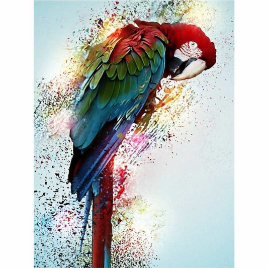 Malen nach Zahlen - Papagei Der Malennachzahlen shop 