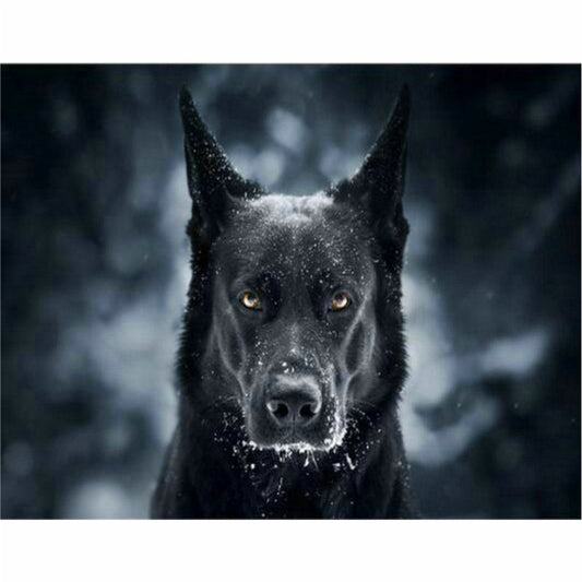 Malen nach Zahlen - Schwarze Schönheit Der Malennachzahlen shop