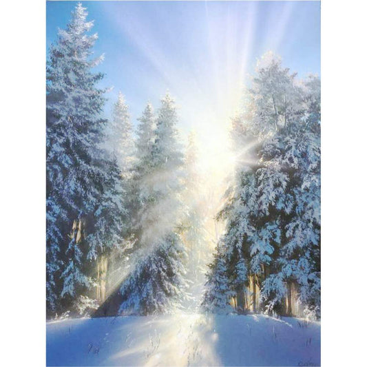 Malen nach Zahlen - Sonnenstrahlen Der Malennachzahlen shop