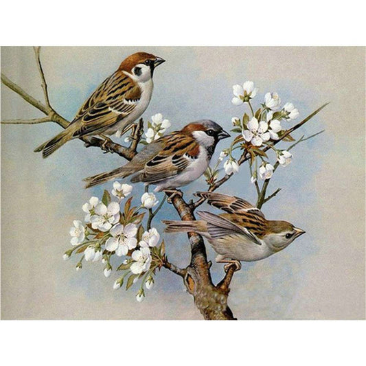 Malen nach Zahlen - Spatzen im Frühjahr Der Malennachzahlen shop