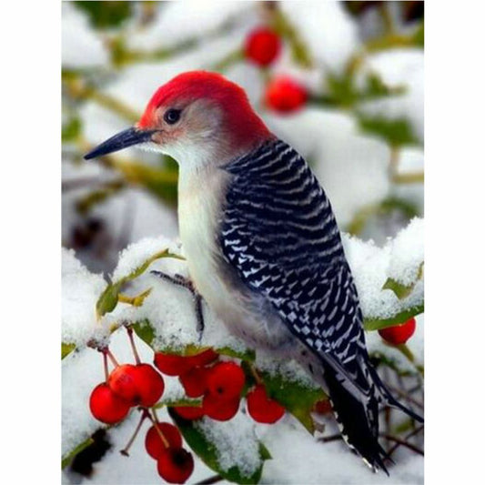 Malen nach Zahlen - Winterpracht Der Malennachzahlen shop