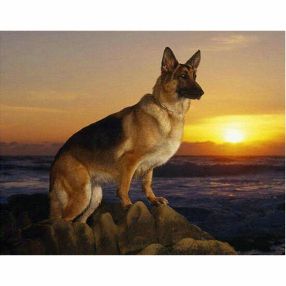 Hunde