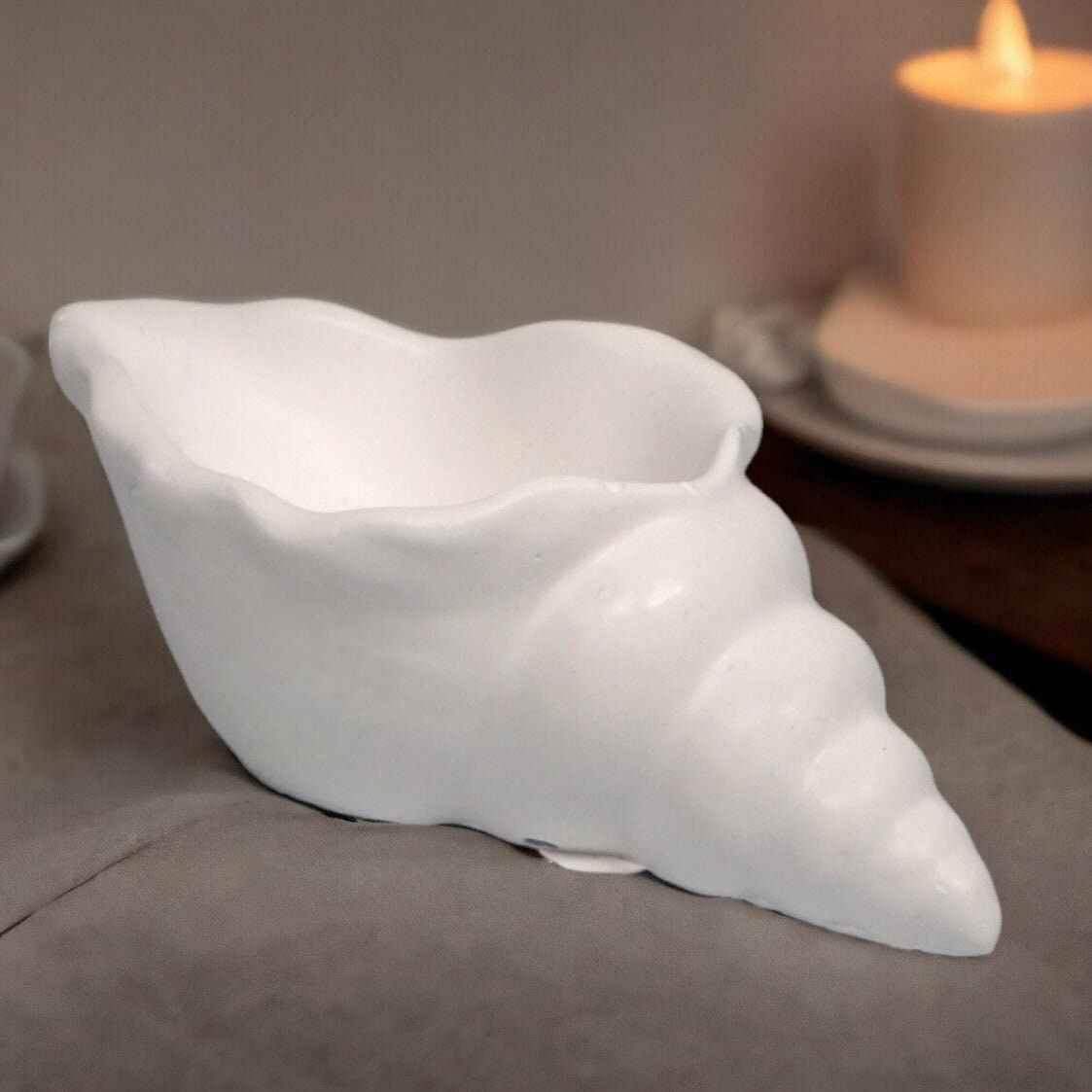 Maritime Muschel-Deko – Ein Hauch von Strand für dein Zuhause