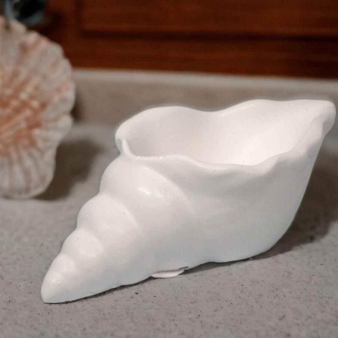 Maritime Muschel-Deko – Ein Hauch von Strand für dein Zuhause