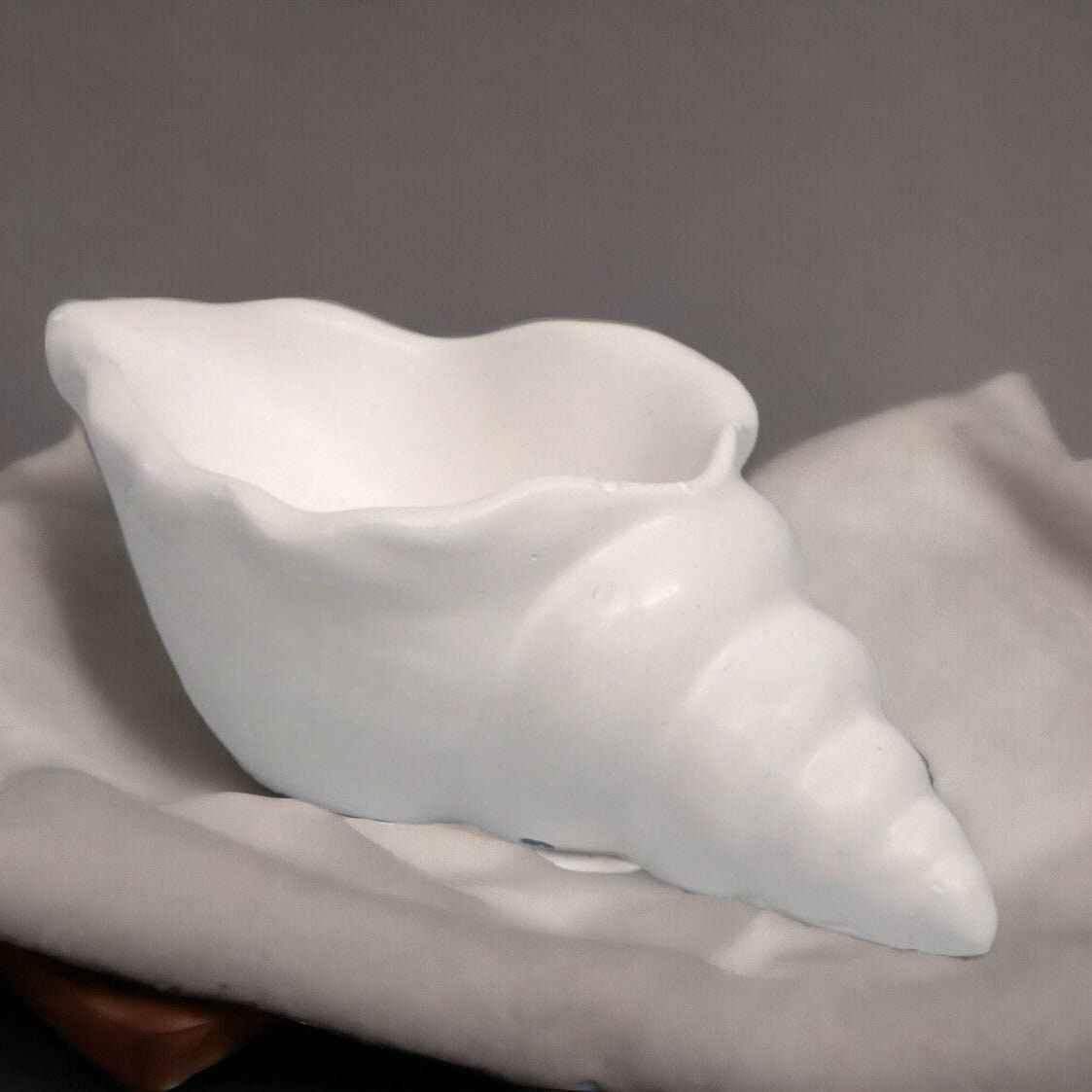 Maritime Muschel-Deko – Ein Hauch von Strand für dein Zuhause