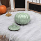 Kleine Kürbisdose – vielseitige Herbstdekoration mit Charme