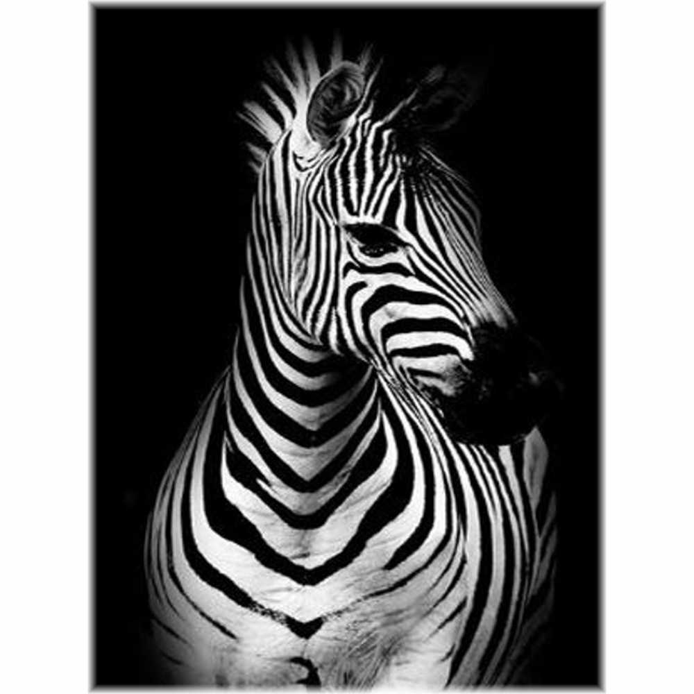 Malen nach Zahlen - Zebra Der Malennachzahlen shop 